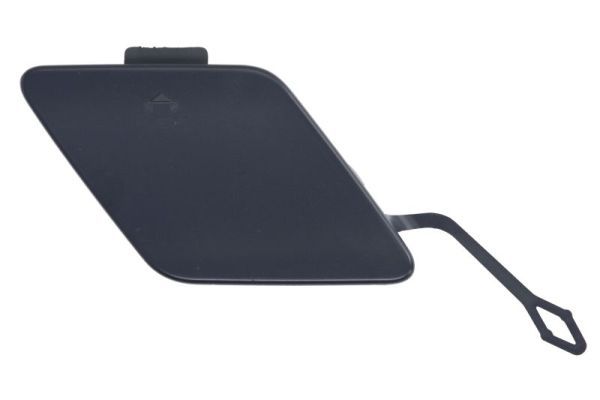 acoperire tampon,sistem de remorcare BLIC 5513-00-0063975P