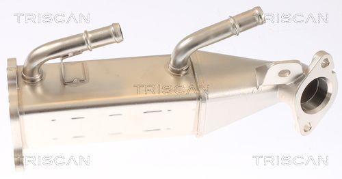 Chłodnica, recyrkulacja spalin TRISCAN 8813 16073