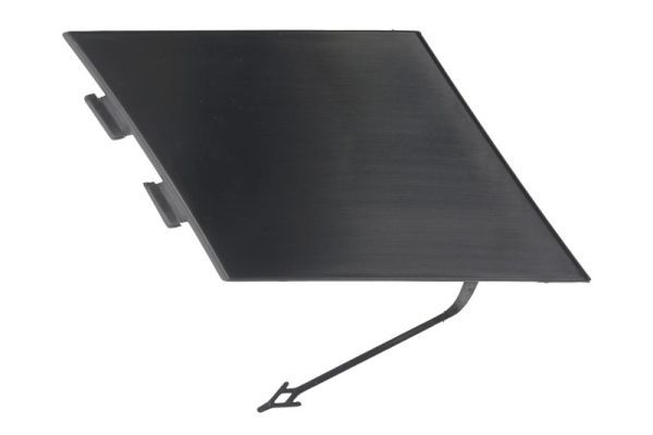 acoperire tampon,sistem de remorcare BLIC 5513-00-0048920P