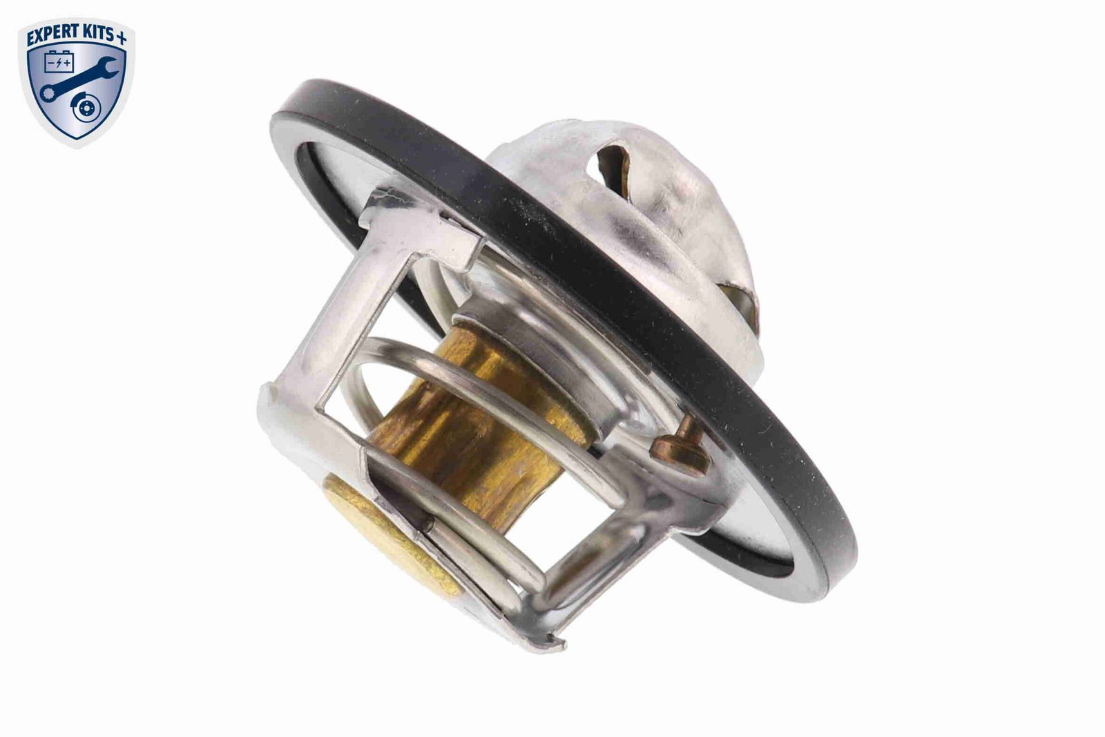 V38-99-0008 THERMOSTAT D EAU