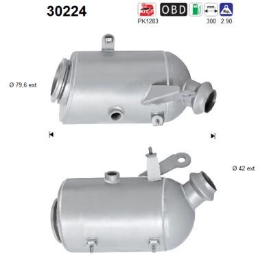 Katalizator AS 30224