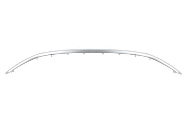 Ehis-/kaitseliist,Grill