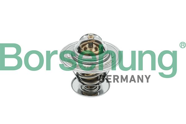 Termostat, środek chłodzący BORSEHUNG B18245