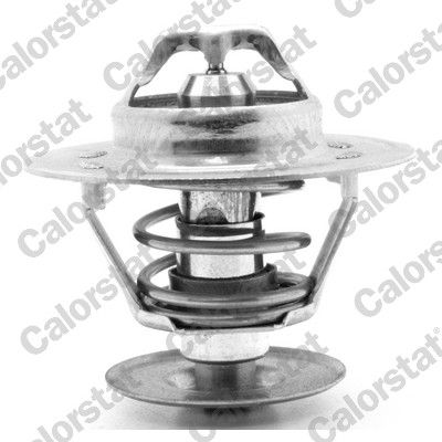 termostat,lichid racire CALORSTAT by Vernet TH1392.82J