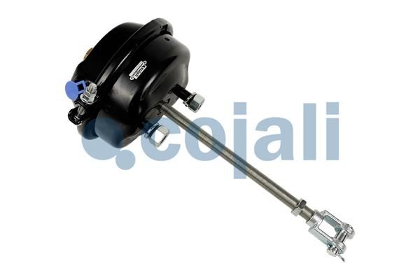 Cilindru receptor frana cu membrana COJALI 2251123