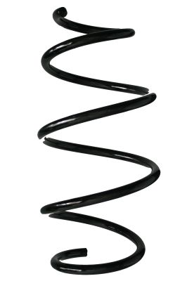 Arc spiral SPIDAN 88136