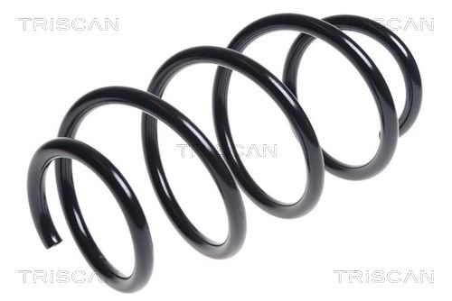 Arc spiral TRISCAN 8750 1876