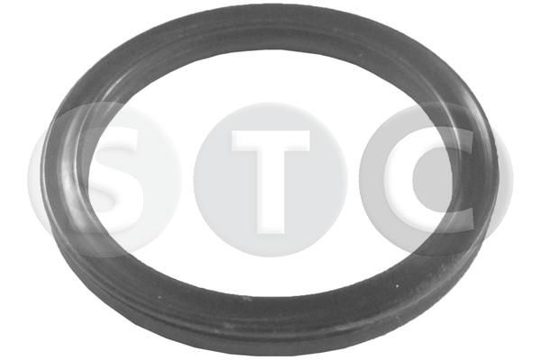 Uszczelka, rurka płynu chłodzącego STC T402113
