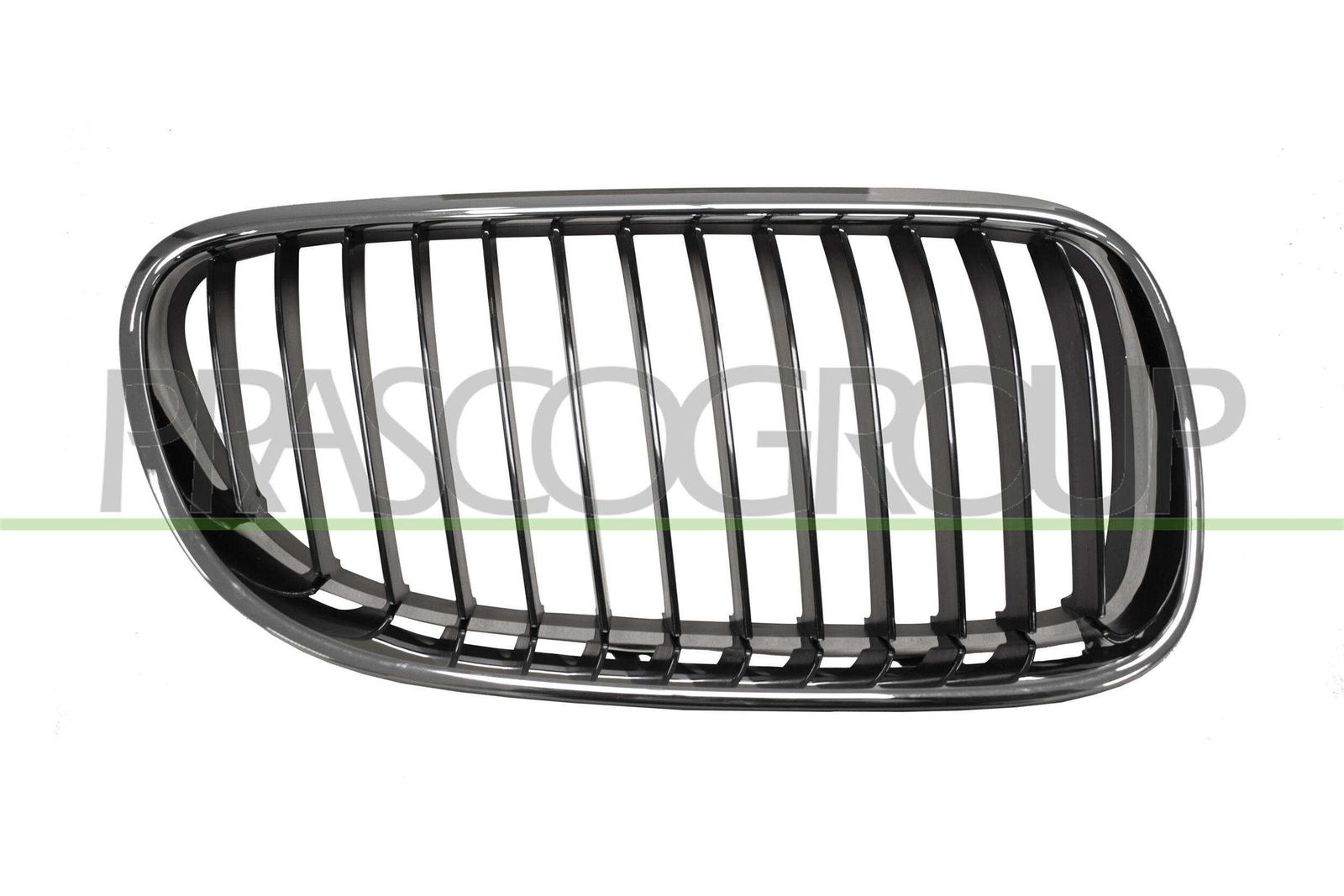 Grila radiator PRASCO BM0252043