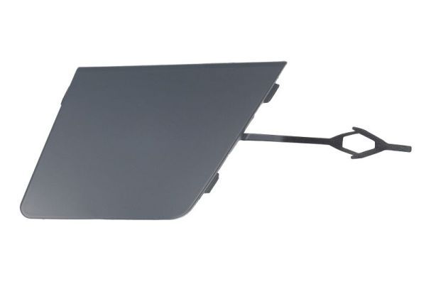 acoperire tampon,sistem de remorcare BLIC 5513-00-5034920P