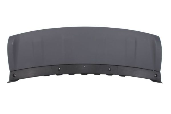 Ehis-/kaitseliist,Põrkeraud