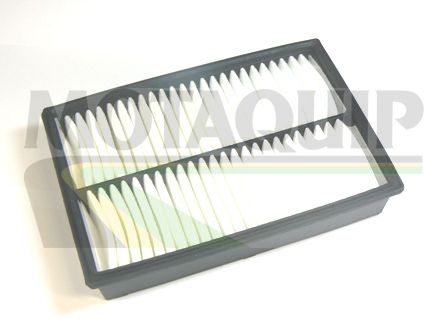 Filtru aer MOTAQUIP VFA1131