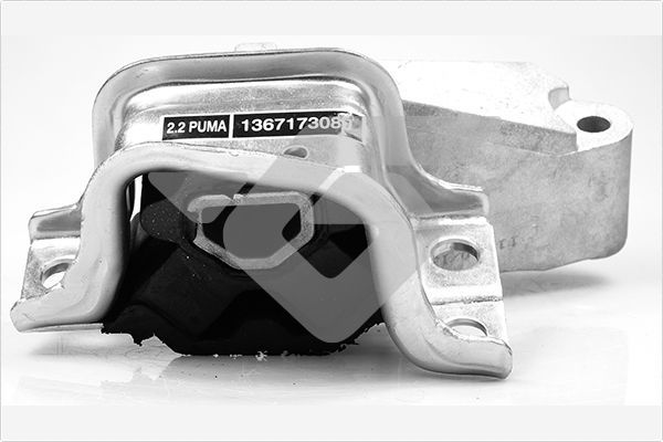 Suport motor HUTCHINSON 594466