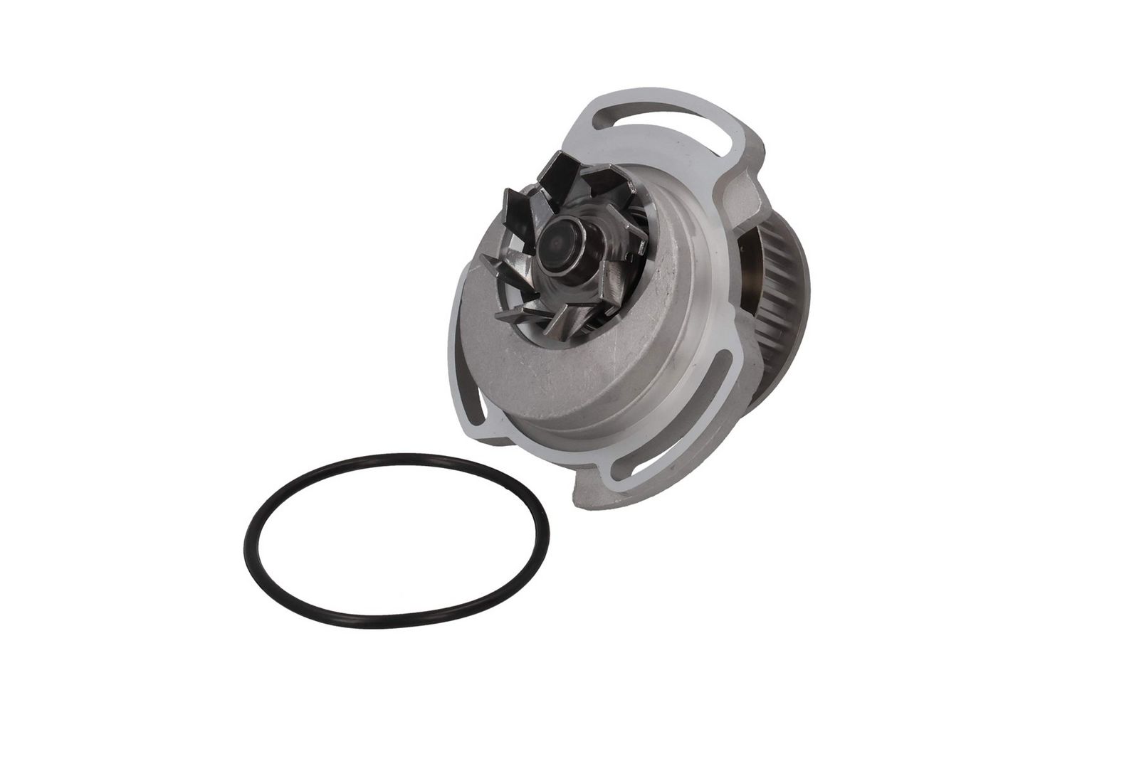 KAMOKA T0254