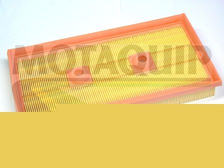 Filtru aer MOTAQUIP VFA1170