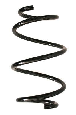 Arc spiral SPIDAN 86876