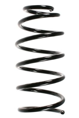 Arc spiral SPIDAN 49552