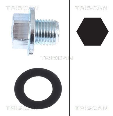 Korek spustowy oleju, miska olejowa TRISCAN 9500 1013