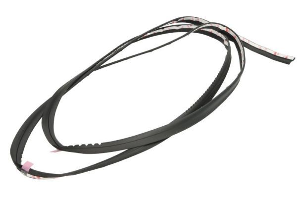 Elemente decorative/protectie, parbriz BLIC 5703-04-6037532Q