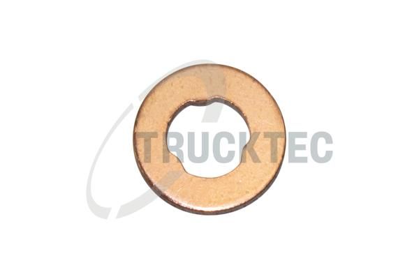 Siltumizolācijas paplāksne, Iesmidzināšanas sistēma