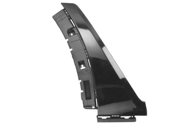 Ehis-/kaitseliist,Poritiib