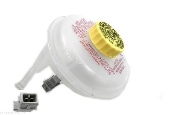 Paisupaak,pidurivedelik