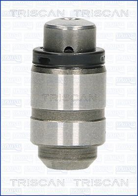 Popychacze zaworowe TRISCAN 80-42002