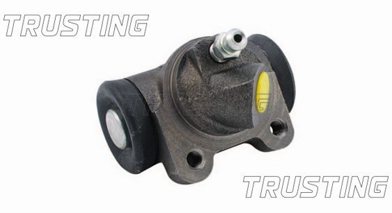 Cylinderek hamulcowy TRUSTING CF040