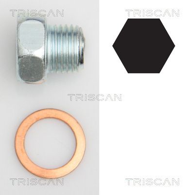 Korek spustowy oleju, miska olejowa TRISCAN 9500 2404