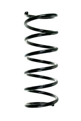 Arc spiral SPIDAN 85572