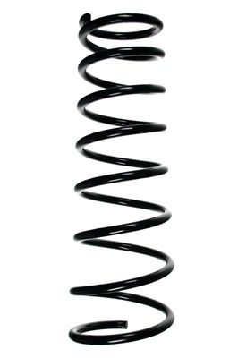 Arc spiral SPIDAN 55024