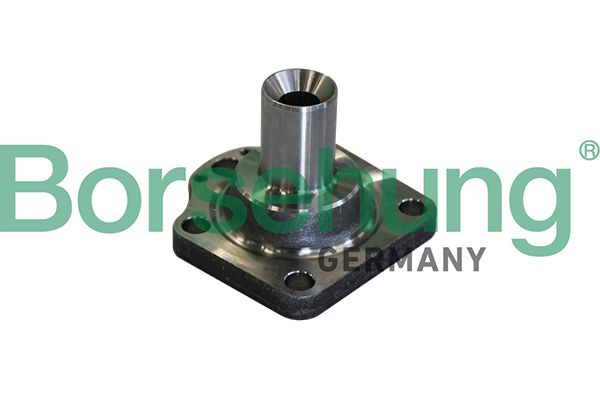 Butuc roata BORSEHUNG B11291