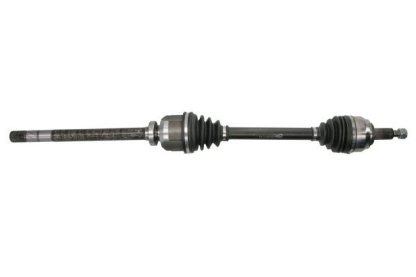Planetara PASCAL G2R192PC