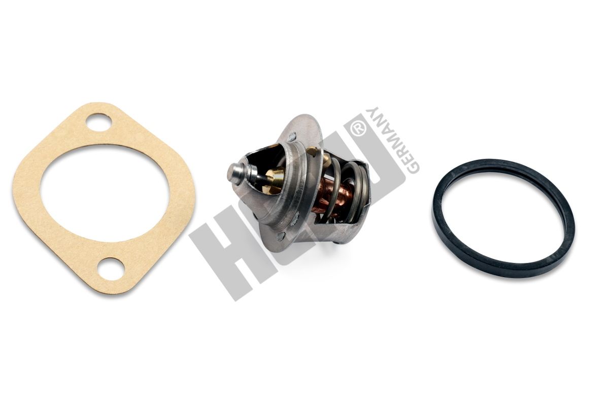 termostat,lichid racire HEPU TM1321