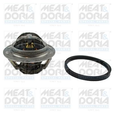 Termostat, środek chłodzący MEAT & DORIA 92222