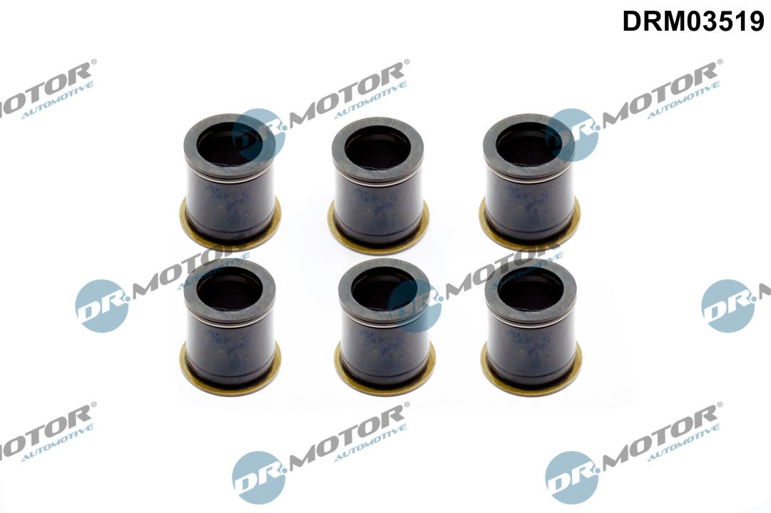 Blīve, Sprauslas korpuss