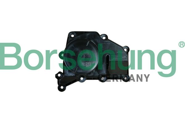 Borsehung B11918