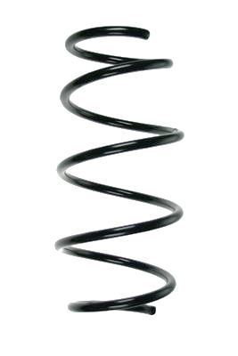 Arc spiral SPIDAN 85819