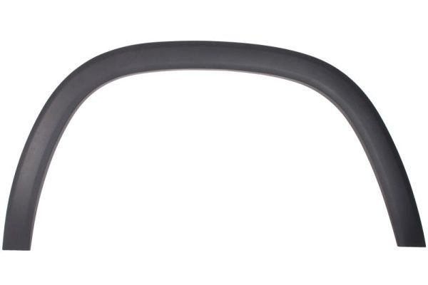 Ehis-/kaitseliist,Poritiib