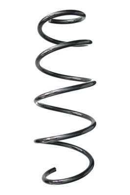 Arc spiral SPIDAN 88192