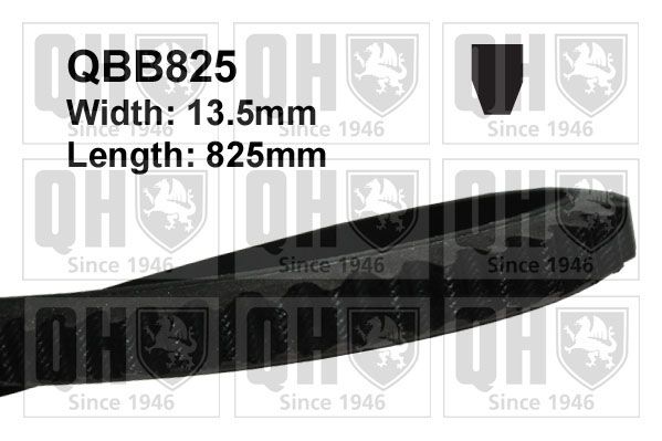 Pasek klinowy QUINTON HAZELL QBB825