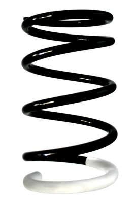 Arc spiral SPIDAN 87118