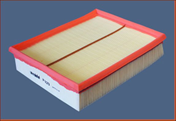Filtr powietrza MISFAT P029