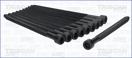 Zestaw śrub głowicy cylindrów TRISCAN 98-8529