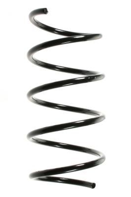 Arc spiral SPIDAN 49718