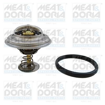 Termostat, środek chłodzący MEAT & DORIA 92094