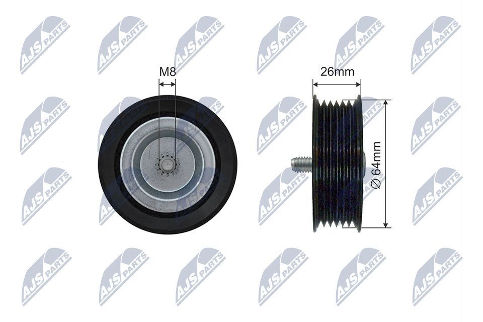 Parazīt-/Vadrullītis, Ķīļsiksna