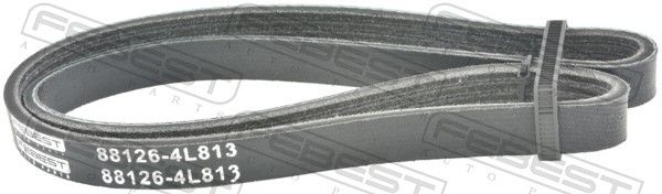 Pasek klinowy wielorowkowy FEBEST 88126-4L813