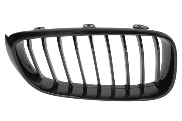 Grila radiator BLIC 6502-07-0081996P