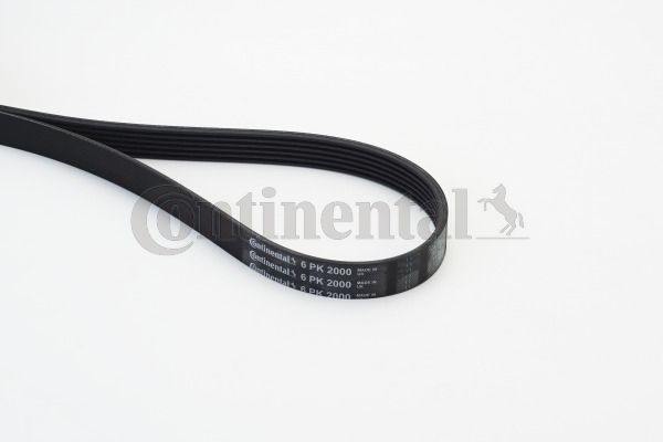 Pasek klinowy wielorowkowy CONTINENTAL CTAM 6PK2000
